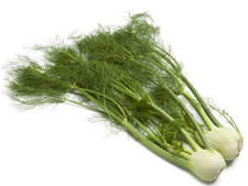 Fennel Leaves