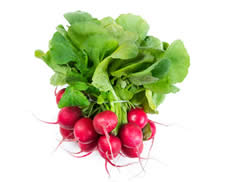 Radish Leaves